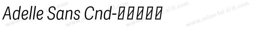 Adelle Sans Cnd字体转换